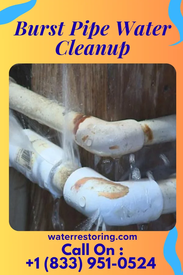 Burst Pipe Water Cleanup in Farragut, TN
