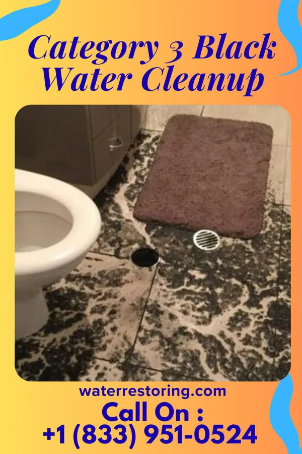 Category 3 Black Water Cleanup in Farragut, TN