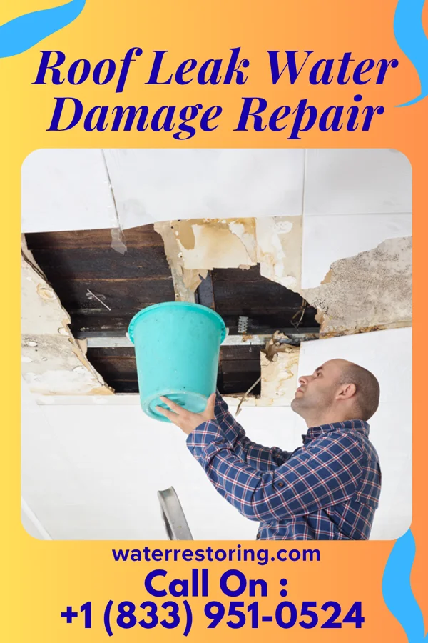 Roof Leak Water Damage Repair in Farragut, TN